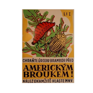 Plechová cedule Americký brouk