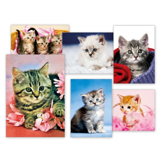 Pohlednice s koťátky