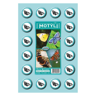 Pexeso Motýli