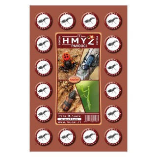 Pexeso Hmyz a pavouci